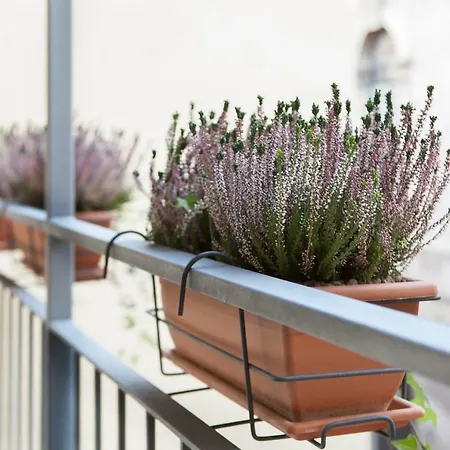 Museo Appartement Verona