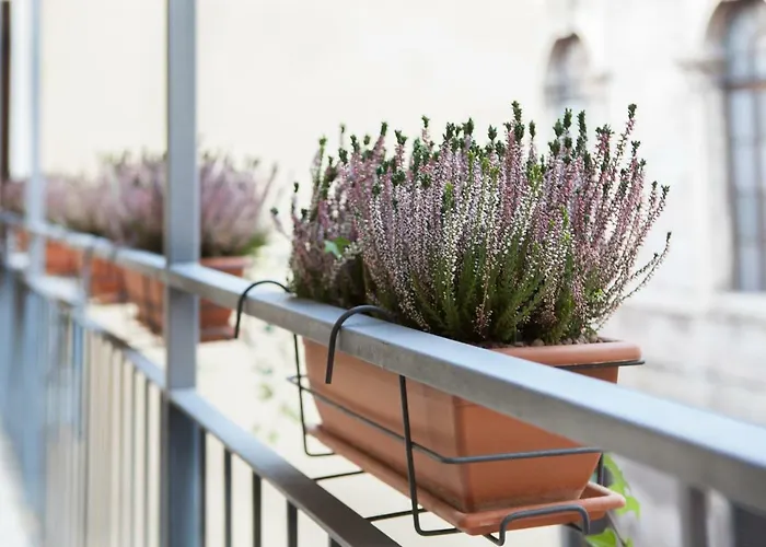 Museo Apartmán Verona