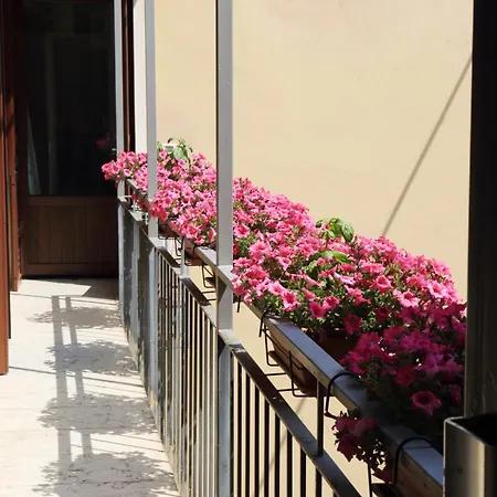 Museo Apartman