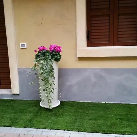 Apartment Museo